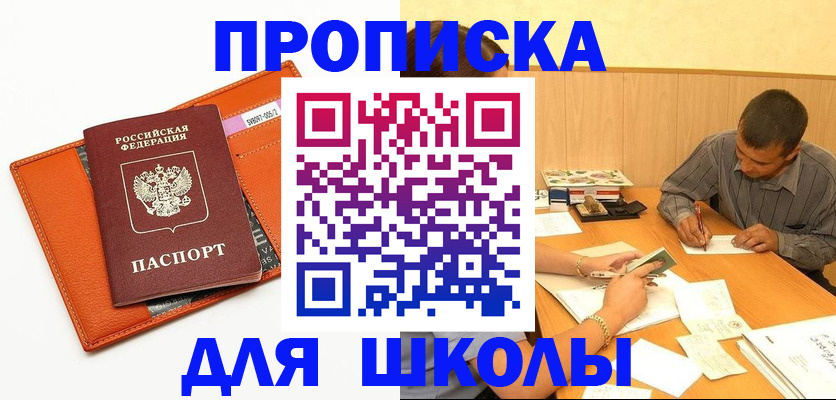 форма 3 в Амурской области